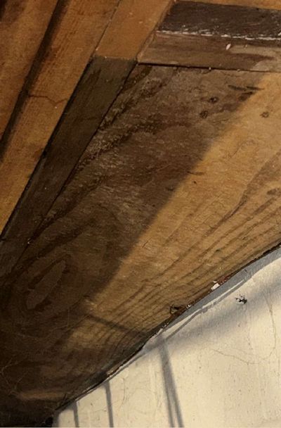 Dark discoloration spread across crawl space joists and subfloor sheathing in an Ambler PA home, noted during a September 2026 mold test