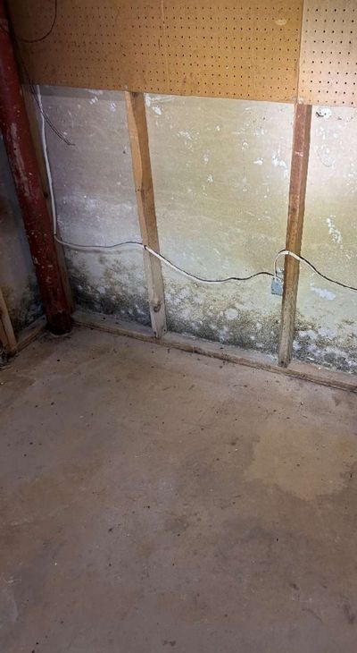 Visible mold discoloration along the base of a basement foundation wall in a Kennett Square PA home, the source assessed by air sampling in December 2025