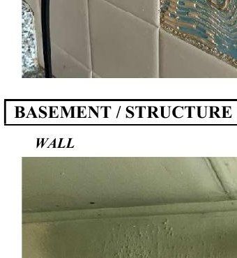 Wet basement wall with water staining at 7015 Large St Northeast Philadelphia, moisture measured during a May 2026 home inspection with possible mold discoloration noted