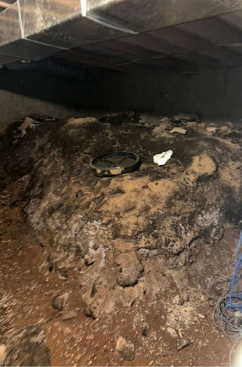 Mold and elevated moisture across crawl-space surfaces in a Dublin, PA commercial property, recorded during a mold test