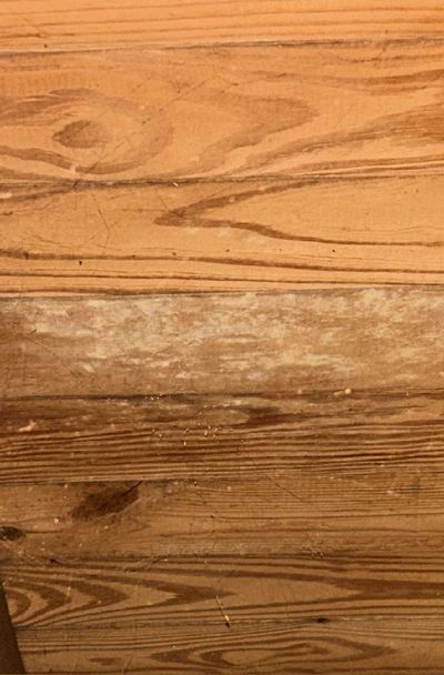 White and gray fungal growth banding across wood framing behind the finished wall in an Ardmore PA basement, from the June 2026 mold test
