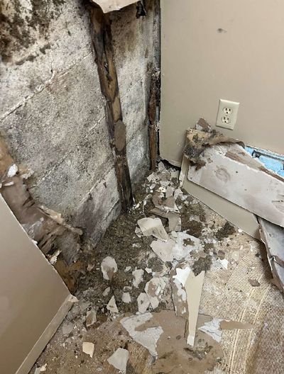 Extensive mold damage on commercial building walls in Perkasie PA — black mold growth on exposed block wall with fallen ceiling material and debris on floor