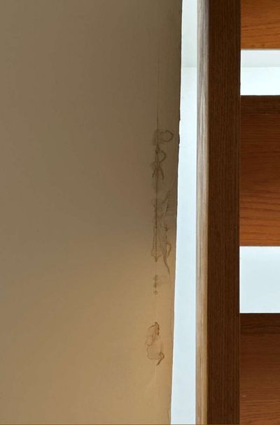 Faint water staining running down an interior wall near a doorway in a Philadelphia rowhome, noted during a September 2026 mold test