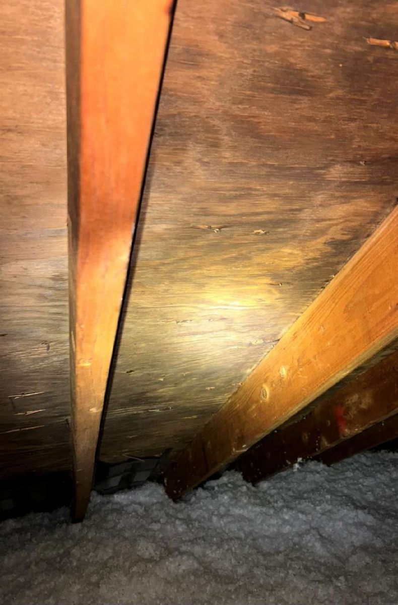 Mold discoloration on attic sheathing in a Lafayette Hill, PA home, recorded during a mold inspection
