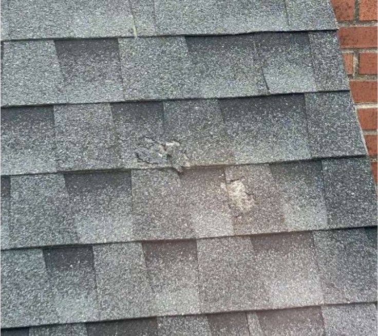 Deteriorated and worn roof shingles on a Yardley, PA home documented during a home inspection, showing granule loss and aging
