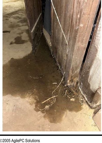 Active water infiltration staining the basement floor and framing near a wood post in an 80-year-old Germantown Philadelphia row home, documented during a May 2026 home inspection