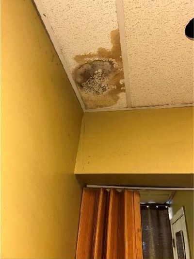 Ceiling water stain with dark discoloration flagged as possible mold in a Northern Liberties Philadelphia storefront, found during a May 2026 home inspection