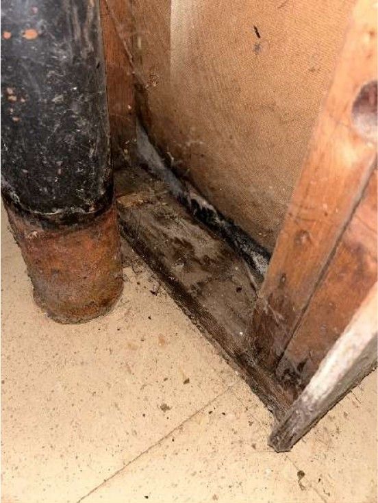 Mold-like discoloration spreading across a basement foundation wall in a Phoenixville, PA home, documented during a home inspection