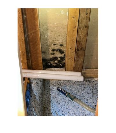 Mold growth on basement walls adjacent to plumbing pipes, showing moisture patterns