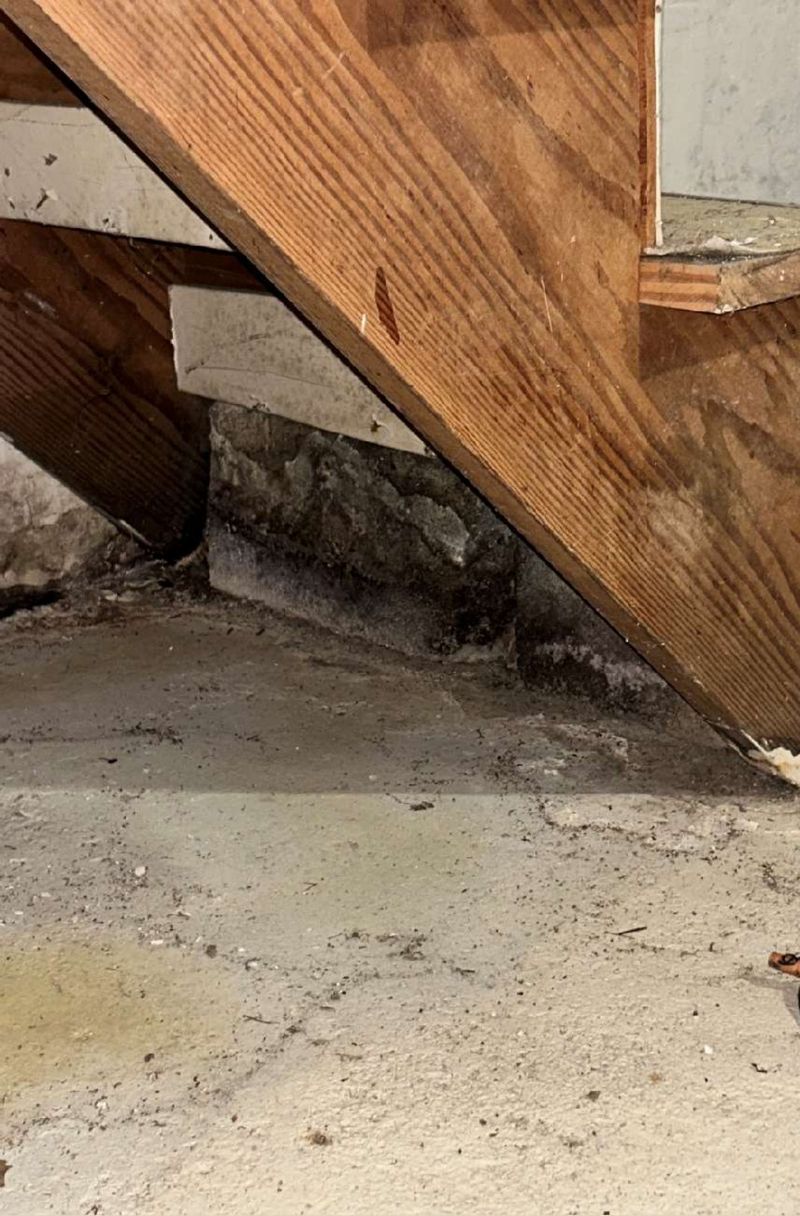 Mold along a basement wall at the stair framing in a Haddon Township, NJ home documented during a mold test