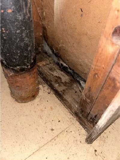 Dark mold-like discoloration on a basement wall near a pipe penetration in a Phoenixville PA home, noted for possible mold during a July 2026 home inspection
