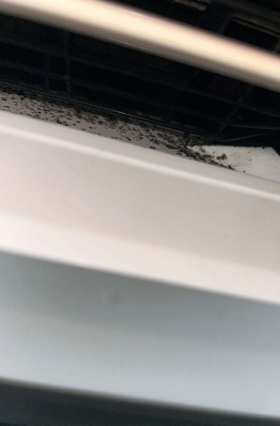 Dark mold speckling along the interior louvers of a bedroom mini-split unit in a Chestnut Hill high-rise condo, swabbed and graded Very Low / Minimal Fungal Growth on a June 2026 mold test