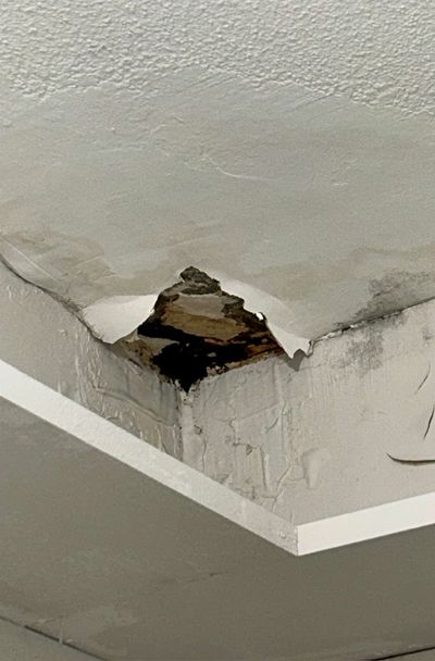 Peeling paint, failed drywall, and dark mold staining at a ceiling corner from an active leak in a Chestnut Hill high-rise condo, documented during a June 2026 mold test