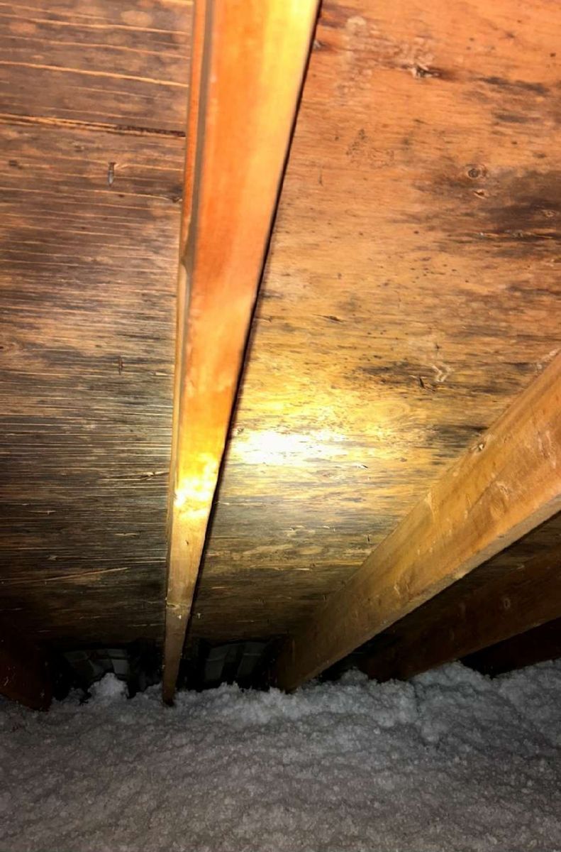 Staining on attic roof sheathing in a Lafayette Hill, PA home, documented during a mold test