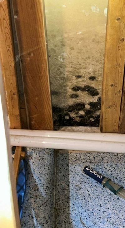 Heavy black mold growth on a basement wall between wood studs above a pipe in a Kennett Square PA home, documented during a December 2025 mold test