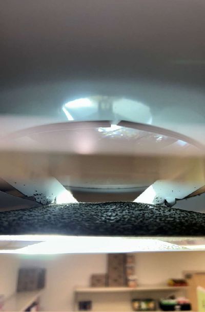 Mold visible in the ceiling space above a lifted ceiling tile in a Pottstown PA commercial building, documented during September 2026 mold testing