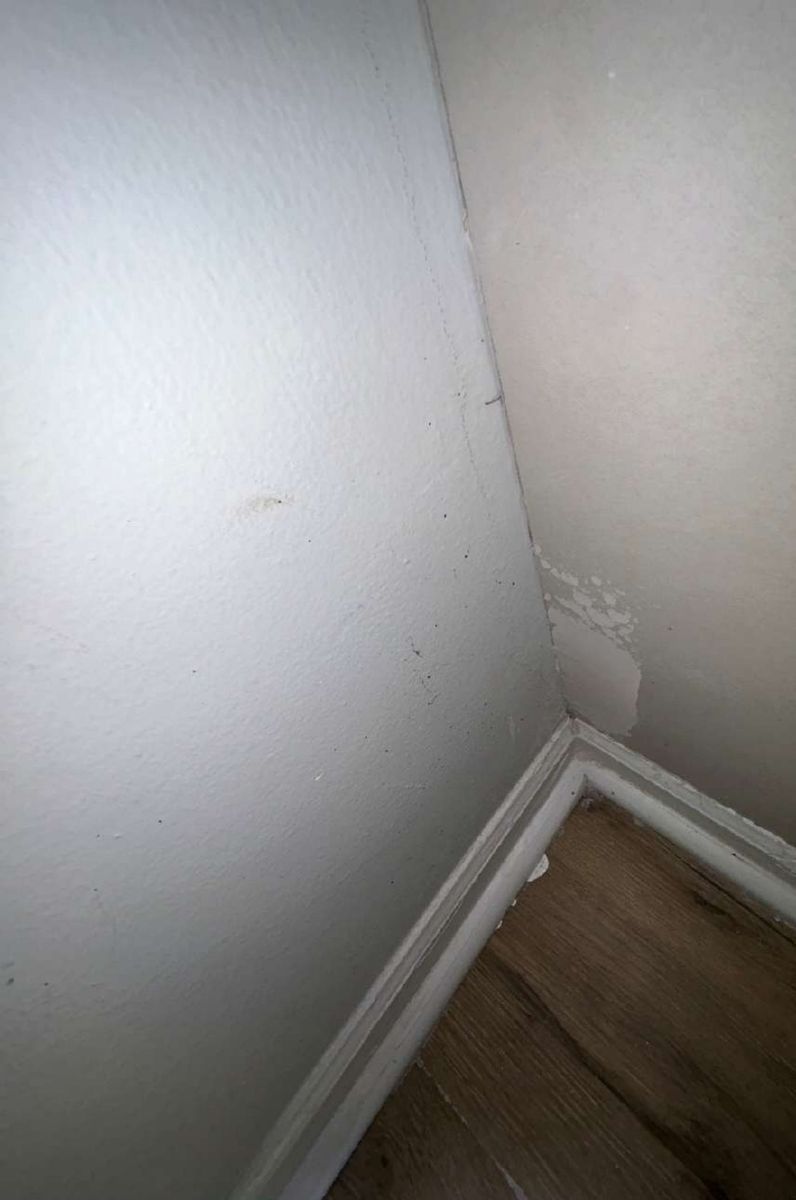 Mold on a foyer closet wall inside an Elkins Park, PA apartment, photographed during a mold inspection