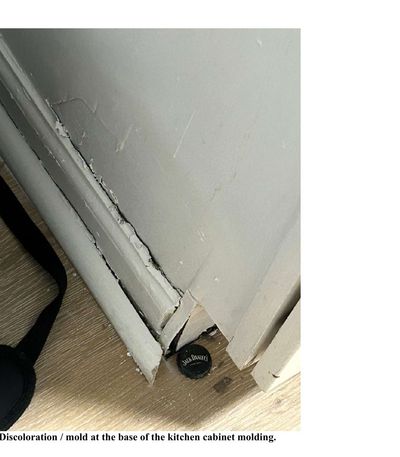 Mold growth at the base of kitchen cabinets on the floor and lower interior surfaces