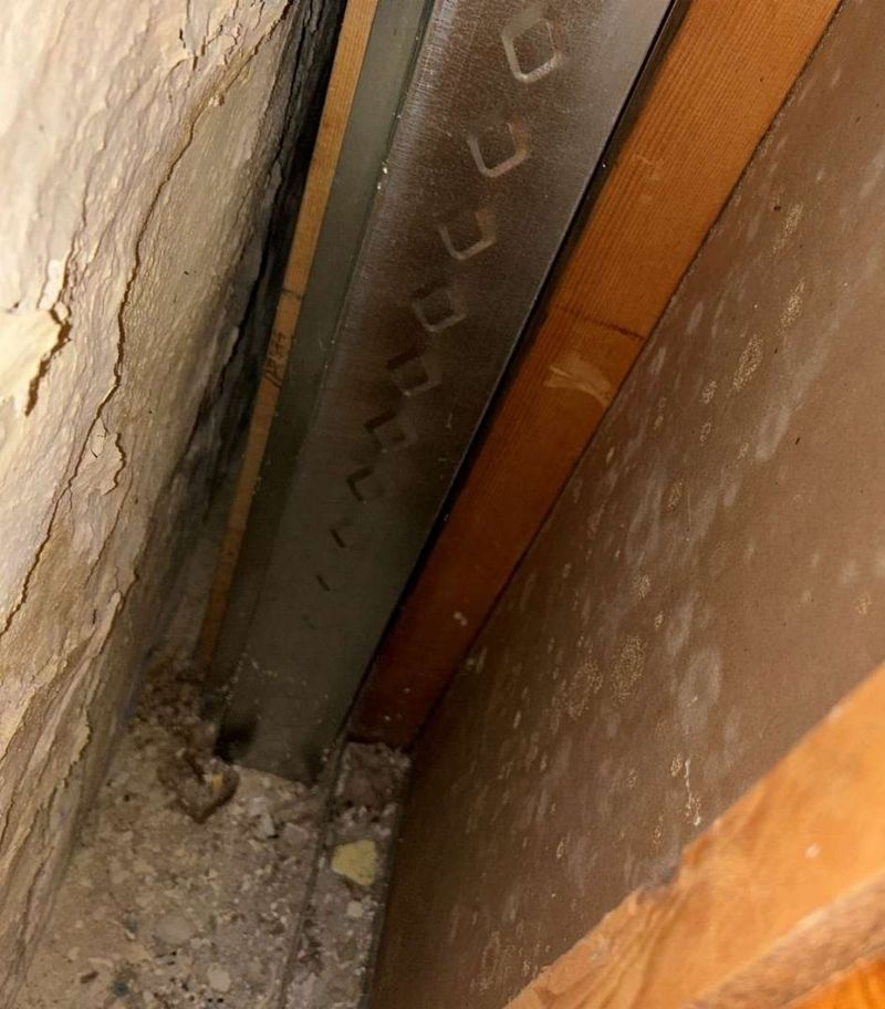 Fungal growth on insulation and wood framing in an Ardmore, PA basement documented during a mold test, showing microbial spread on materials