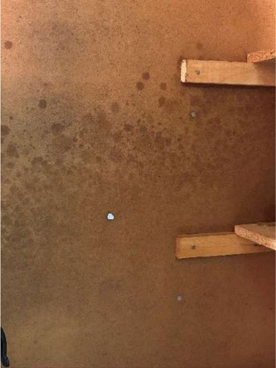 Dark discoloration consistent with possible mold on a basement wall in a Warminster PA home, noted during a June 2026 home inspection