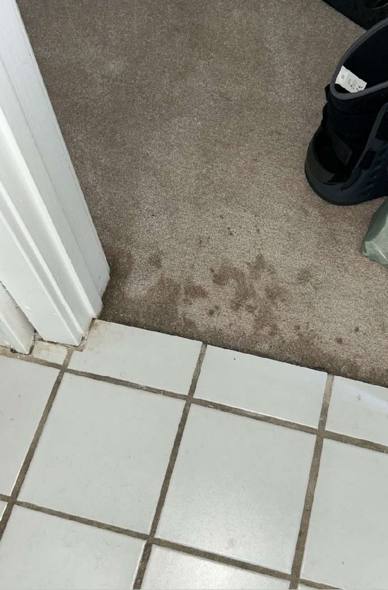 Water-stained carpet in a West Chester, PA home, documented during a home inspection