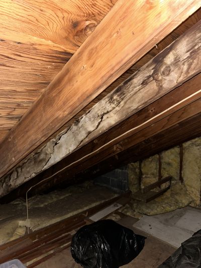 Mold staining and growth on rim joist and sill plate adjacent to stone foundation wall