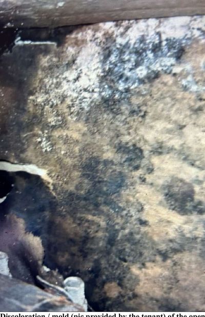 Heavy dark mold growth in the open wall cavity behind a washing machine drain box in an Elkins Park PA apartment, documented during a December 2025 mold test