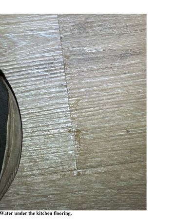 Water staining and damage visible underneath kitchen flooring from a slow leak