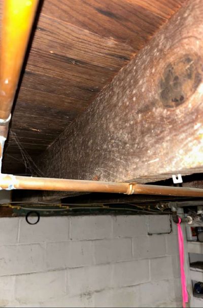 Dark staining across basement ceiling joists in a Haddon Township NJ home, noted during an August 2026 mold test