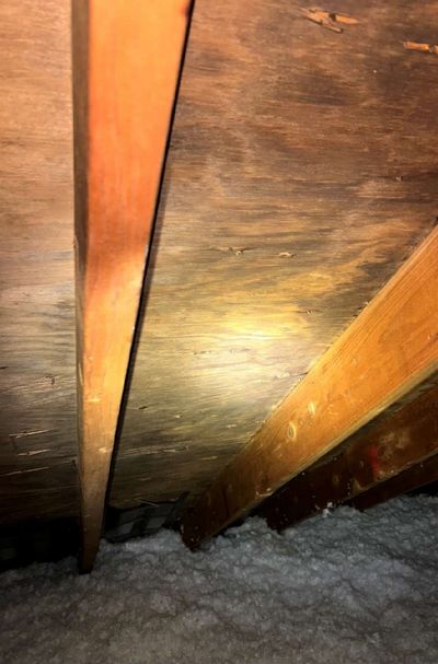 Dark mold discoloration on the underside of attic roof sheathing between rafters in a Lafayette Hill PA home, confirmed by a surface swab during a September 2025 mold test