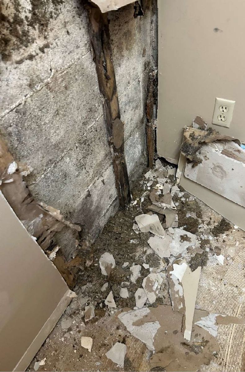 Black mold growth on interior wall framing inside a Dublin, PA commercial building, photographed during a mold inspection