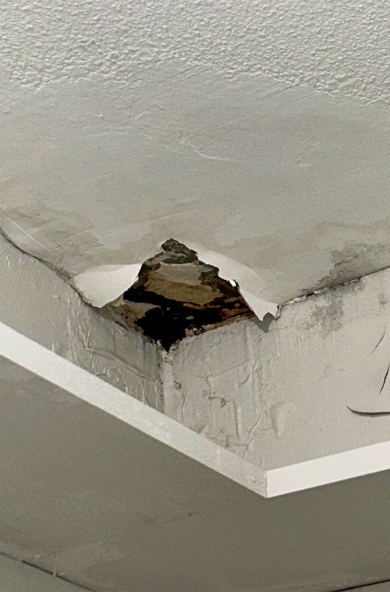 Ceiling leak and water damage inside a Chestnut Hill, PA condo unit, documented during a mold inspection