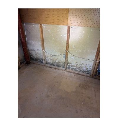 Dark mold staining along the base of a basement wall, growing behind pegboard and drywall finishes