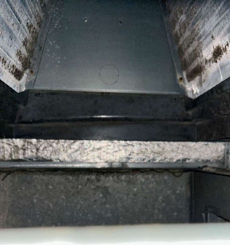 Mold growth on an air conditioning evaporator coil inside an HVAC system in West Chester, PA, found during a mold inspection