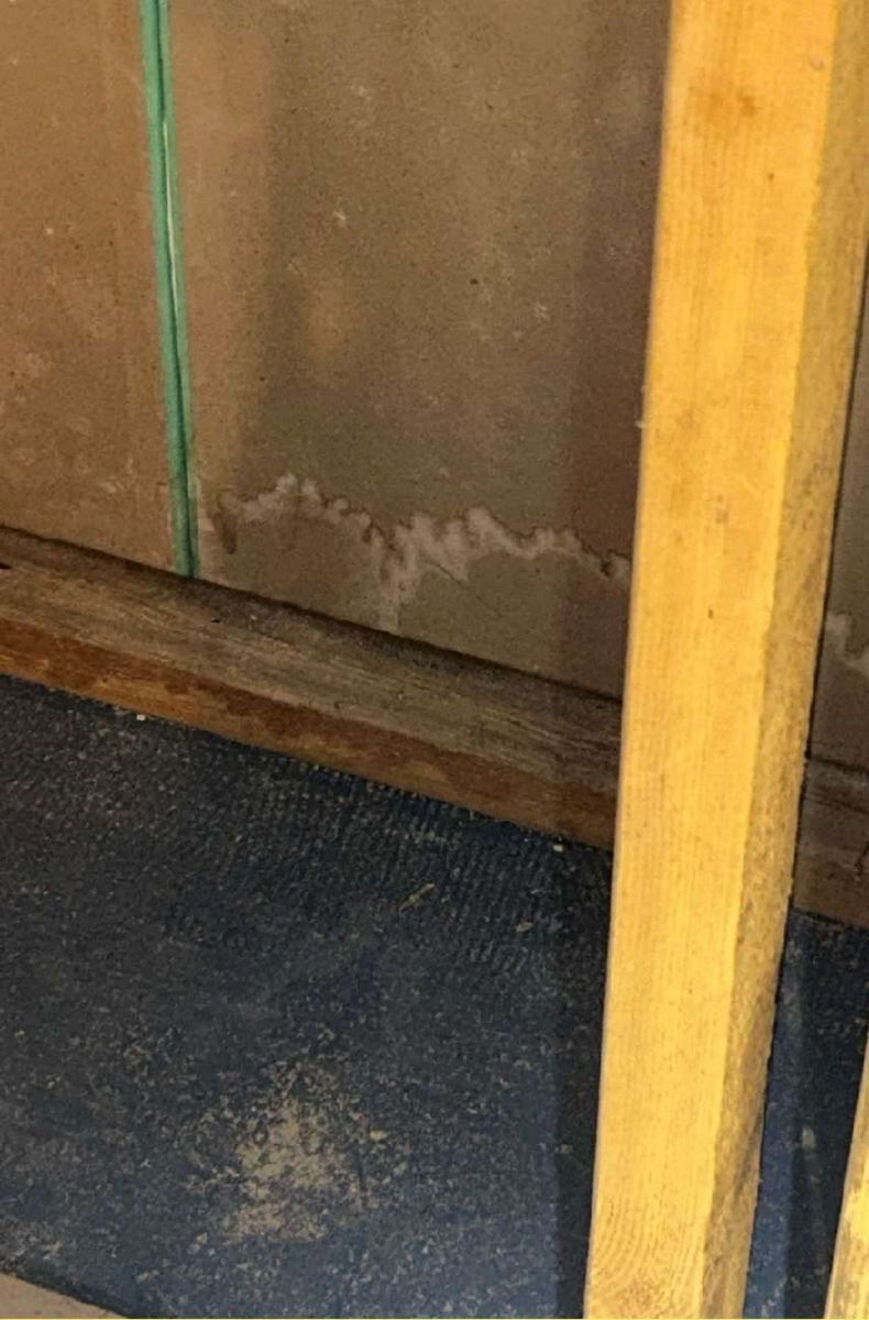 Water staining in a basement corner of an Ardmore, PA home documented during a mold test, showing moisture tracking that supports mold growth