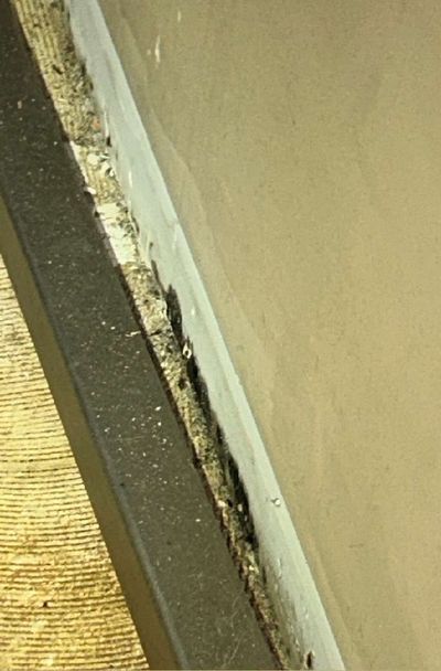 Close-up of mold growth along the baseboard and wall-to-floor seam in a Dublin PA commercial building, one of the swab sampling locations during June 2026 mold testing