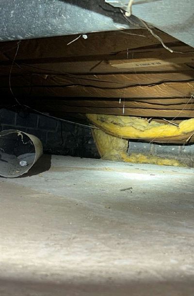 Crawl space joists and sagging fiberglass insulation above the dirt floor in an Ambler PA home, part of a September 2026 mold test