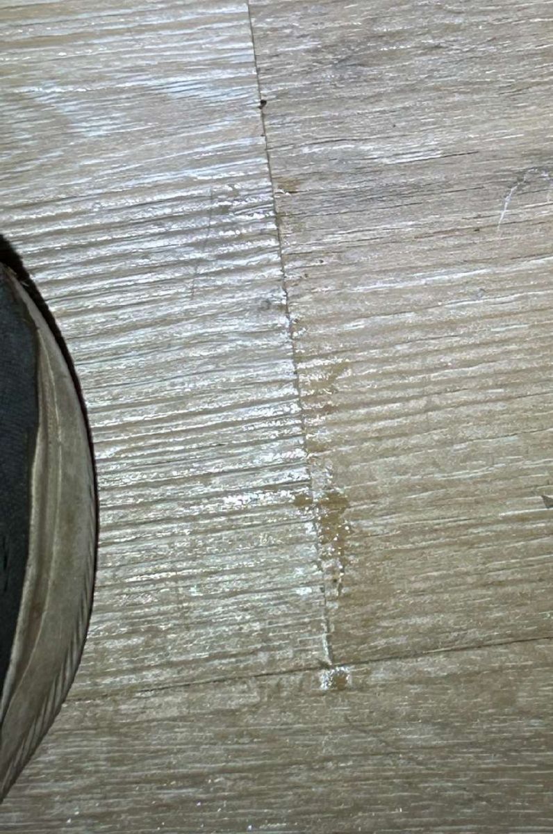 Water intrusion under kitchen flooring in an Elkins Park, PA apartment, documented during a mold test