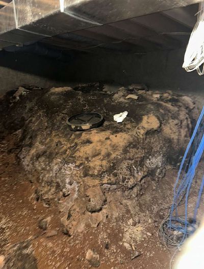 Massive mold accumulation on floor of crawl space beneath commercial building in Perkasie PA — large pile of mold and debris covering crawl space floor