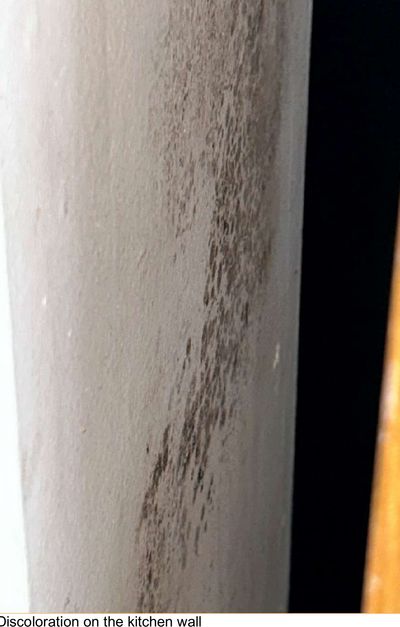 Dark streaked mold discoloration on a kitchen wall behind the pantry cabinet in a Manayunk Philadelphia rental property, found during an August 2026 mold test