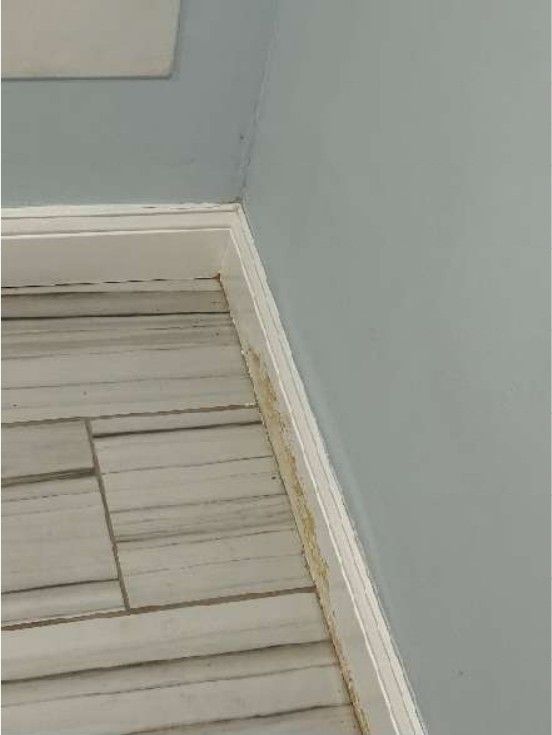 Open mortar joints in a brick foundation wall on a Northeast Philadelphia home