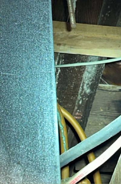 Light colored mold growth on a wood joist directly above an HVAC unit in a Philadelphia rowhome basement