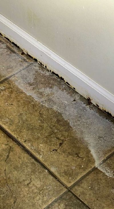 White efflorescence and water tracking along a baseboard and floor in a Kennett Square PA home, evidence the moisture source remained after a not elevated air test