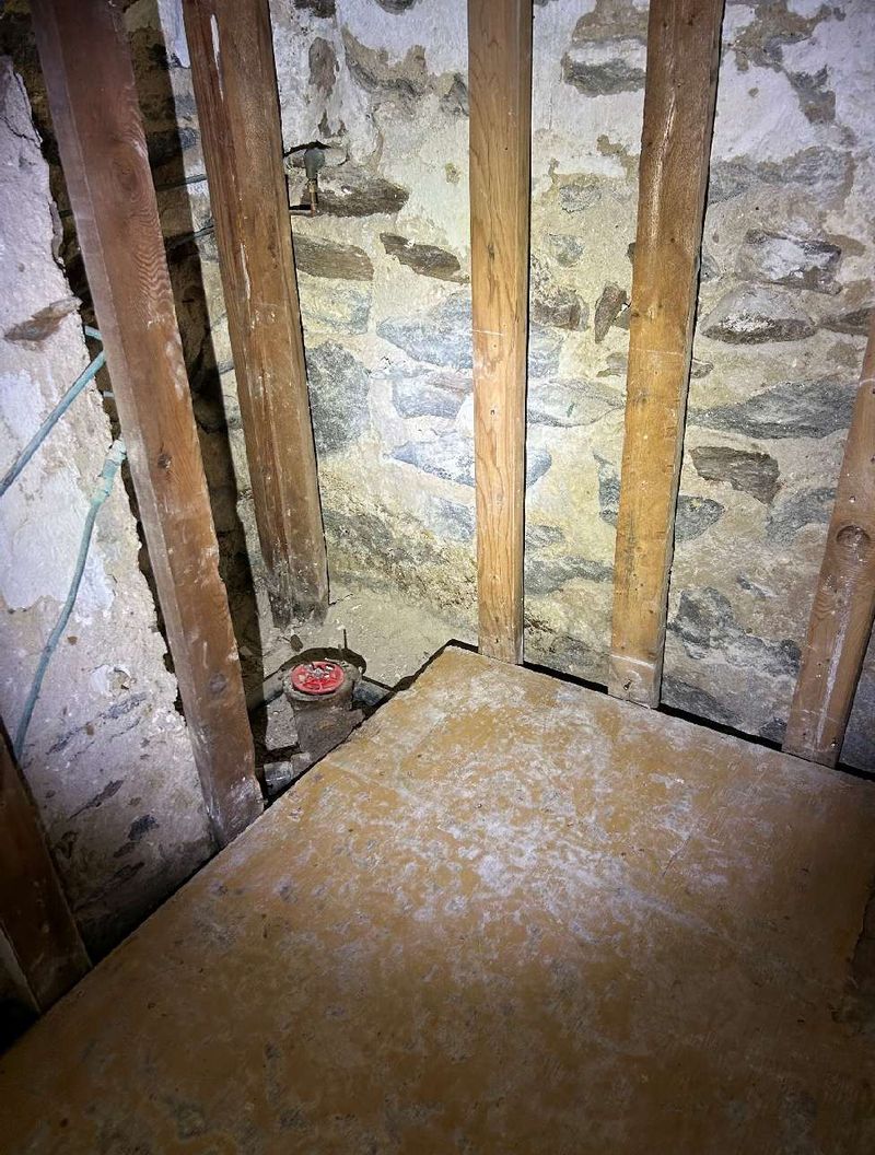 Mold on stone foundation framing in an Elkins Park, PA basement, documented during a home inspection