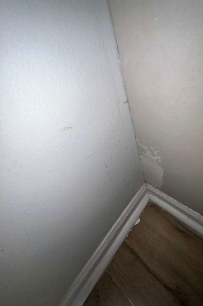 Brown mold specks on the wall of a foyer closet in an Elkins Park PA apartment, found during a December 2025 mold test