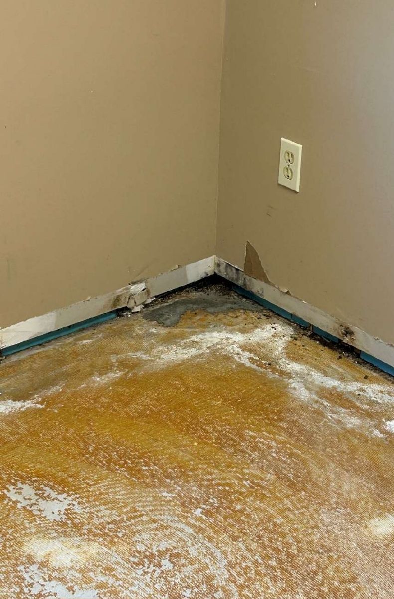 Water-damage tide line staining the subfloor of a commercial property in Dublin, PA, documented during a mold inspection