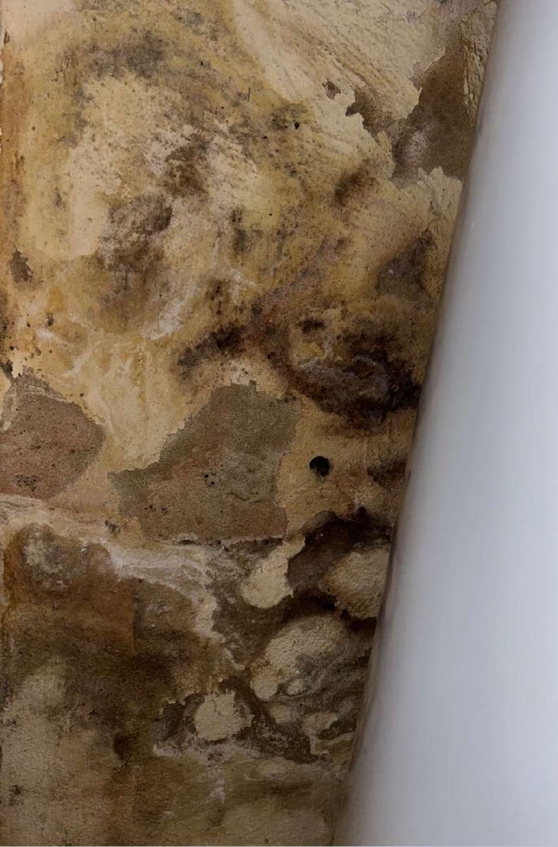 Heavy fungal growth spreading across a basement wall in an Ardmore, PA home documented during a mold test, showing visible surface colonization