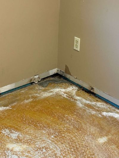 Mold and water damage on commercial building floor in Perkasie PA — stained carpet pad and moisture infiltration at wall base