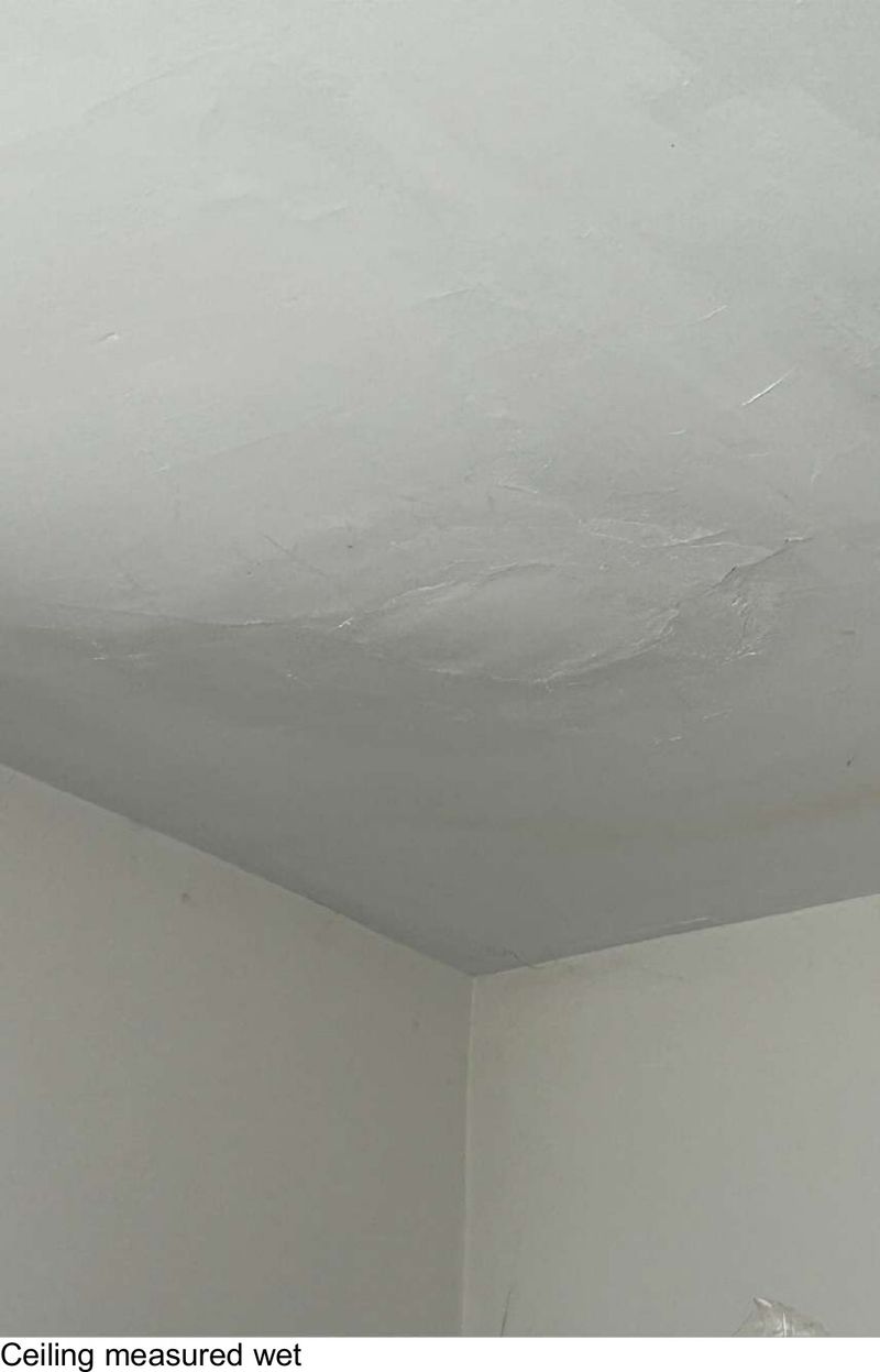 Blistered kitchen ceiling that measured wet on a moisture meter in a Manayunk, PA property during mold testing