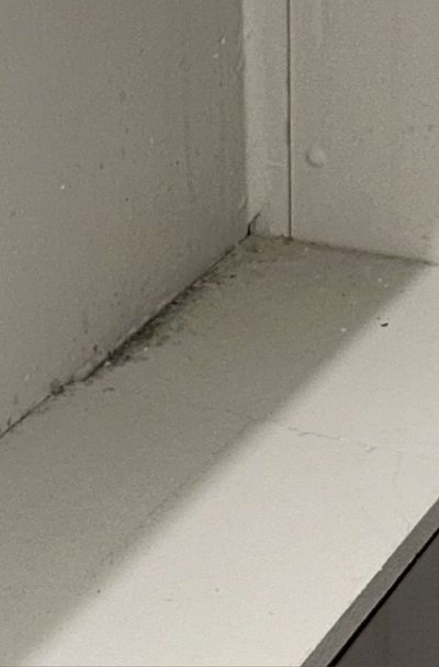 Light mold growth along a closet shelf seam and corner in a Chestnut Hill high-rise condo, one of the surfaces swabbed during a June 2026 mold test